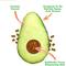 Show in main carousel: Meowijuana Knock 'n' Nibble Avocado Refillable Treat Dispensing Cat Toy slide 3 of 11