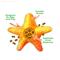Show in main carousel: Meowijuana Knock 'n' Nibble Starfish Refillable Treat Dispensing Toy + Crunchie Munchie Seafood Medley Catnip Crunchy Cat Treats, 3-oz bag slide 7 of 10