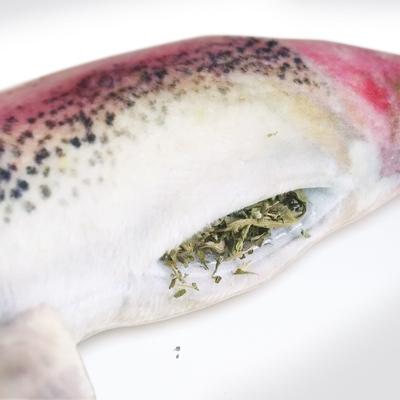 Show full view: Meowijuana Purrple Passion Catnip & Silvervine Blend Catnip, 0.917-oz bottle + Meowijuana Refillable Get Smoked Catnip Fish Cat Toy slide 9 of 10