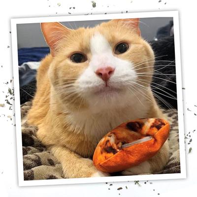 Show full view: Meowijuana Refillable Get Baked Catnip Cookie Cat Toy slide 5 of 9