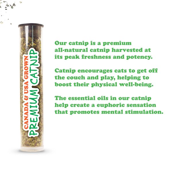 Show full view: Meowijuana Refillable Get Buzzed Catnip Bee Cat Toy slide 3 of 8
