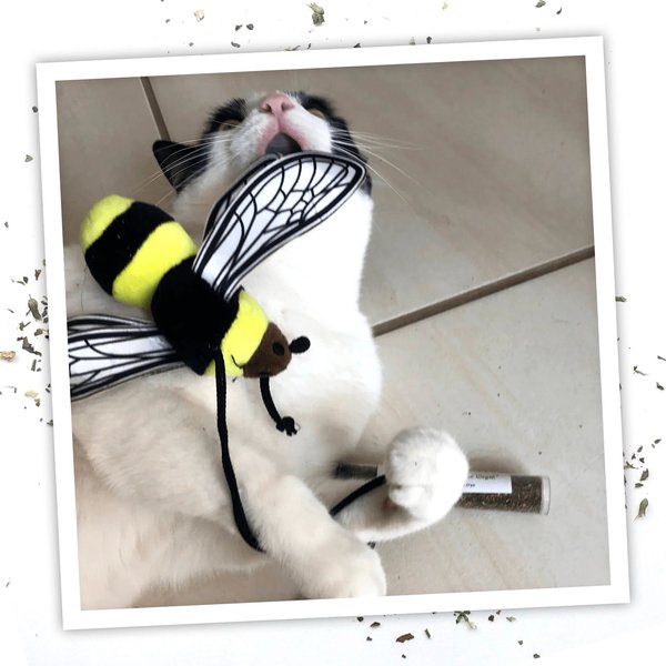Show full view: Meowijuana Refillable Get Buzzed Catnip Bee Cat Toy slide 5 of 8