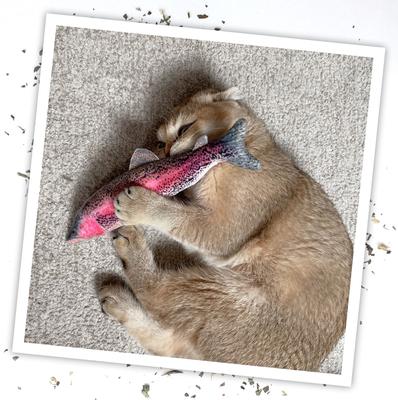 Show full view: Meowijuana Refillable Get Smoked Catnip Fish Cat Toy slide 6 of 9