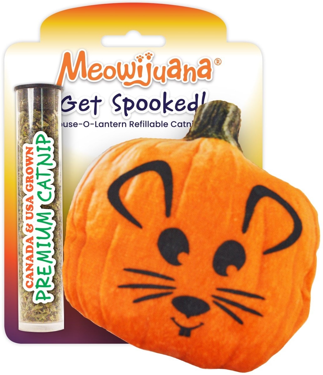 MEOWIJUANA Refillable Get Spooked Pumpkin Cat Plush Toy with