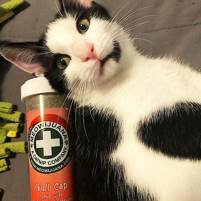 Show full view: Meowijuana Skull Cap Blend Catnip, 0.92-oz bottle slide 5 of 8
