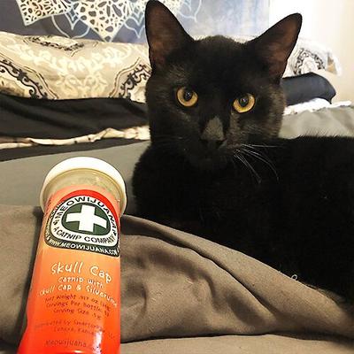 Show full view: Meowijuana Skull Cap Blend Catnip, 0.92-oz bottle slide 6 of 8