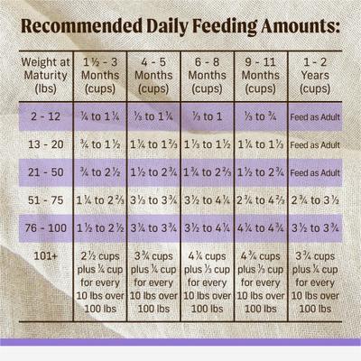 Show full view: Merrick Backcountry Raw Infused Puppy Recipe + Grains with Chicken & Salmon Freeze-Dried Dry Dog Food, 4-lb bag slide 10 of 13