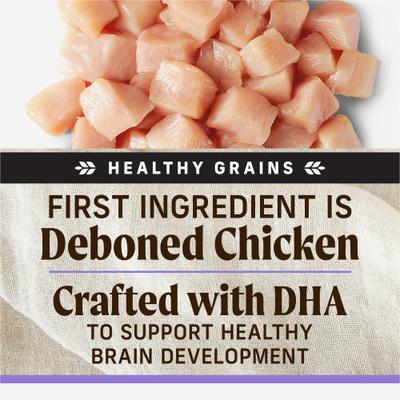 Show full view: Merrick Backcountry Raw Infused Puppy Recipe + Grains with Chicken & Salmon Freeze-Dried Dry Dog Food, 4-lb bag slide 8 of 13