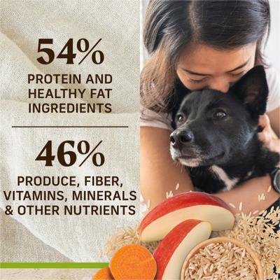 Show full view: Merrick Classic Healthy Grains Dry Dog Food Real Lamb + Brown Rice Recipe with Ancient Grains, 12-lb bag slide 9 of 12