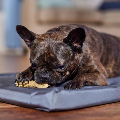 Show full view: Merrick Fresh Kisses Double-Brush Mint Breath Strip Infused Medium Dental Dog Treats, 6 count slide 6 of 12