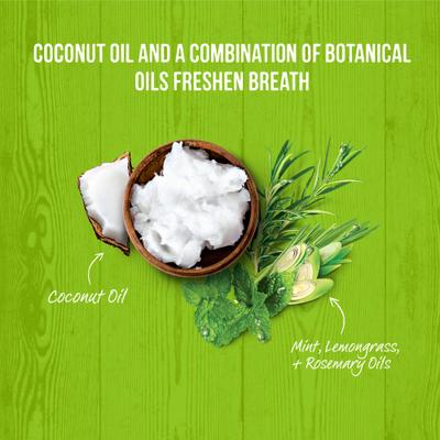 Show full view: Merrick Fresh Kisses Infused with Coconut Oil & Botanicals Small Dental Dog Treats, 36 count slide 8 of 11