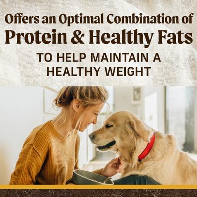 Show full view: Merrick Grain-Free Dry Dog Food Healthy Weight Recipe, 4-lb bag slide 9 of 12