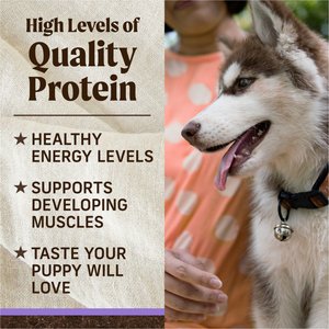 Merrick Grain-Free Dry Puppy Food Real Beef & Sweet Potato Recipe, 22-lb bag
