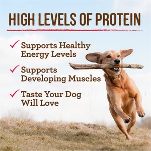 Merrick Grain-Free Wet Puppy Food Puppy Plate Beef Recipe, 12.7-oz can, case of 12