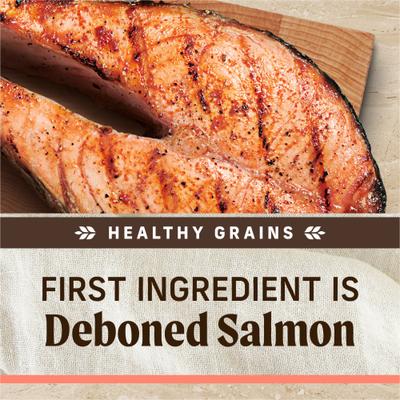 Show full view: Merrick Healthy Grains Real Salmon & Brown Rice Recipe with Ancient Grains Dry Dog Food, 4-lb bag slide 6 of 13