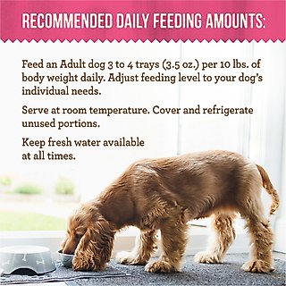 Merrick Lil’ Plates Dinner Duos Itsy Bitsy Beef Stew & Petite Pot Pie Variety Pack Grain-Free Wet Dog Food, 3.5-oz tub, case of 12 slide 8 of 9