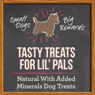 Show full view: Merrick Lil' Plates Small Salmon Recipe Grain-Free Dog Treats, 5-oz bag slide 10 of 13