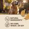 Show in main carousel: Merrick Oven Baked Pumpkin Patch with Real Pumpkin Dog Treats, 11-oz bag slide 7 of 12