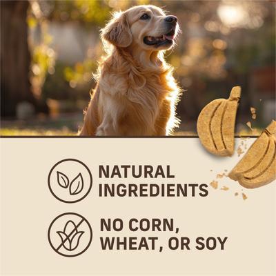 Show full view: Merrick Oven Baked Pumpkin Patch with Real Pumpkin Dog Treats, 11-oz bag slide 7 of 12