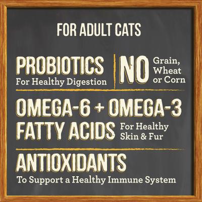 Show full view: Merrick Purrfect Bistro Grain-Free Real Chicken + Sweet Potato Recipe Adult Dry Cat Food, 7-lb bag slide 8 of 13