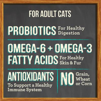 Show full view: Merrick Purrfect Bistro Grain-Free Real Salmon + Sweet Potato Recipe Adult Dry Cat Food, 12-lb bag slide 8 of 13