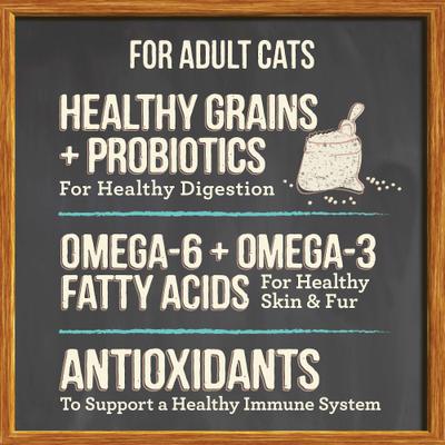 Show full view: Merrick Purrfect Bistro Healthy Grains Real Salmon + Brown Rice Recipe Adult Dry Cat Food, 4-lb bag slide 8 of 13