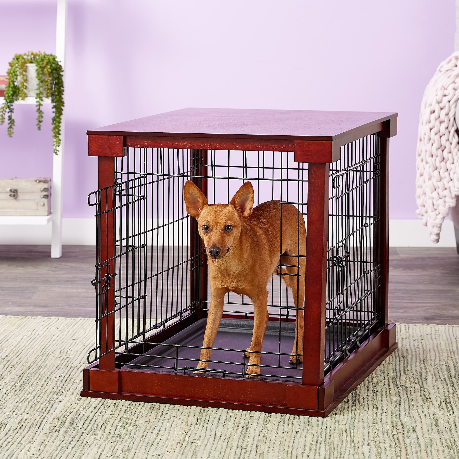 Merry Products Double Door Furniture Style Dog Crate, Mahogany, 24 inch