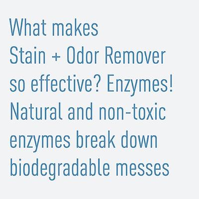 Show full view: Messy Pet Cat Stain & Odor Remover, 27-fl oz bottle slide 8 of 11