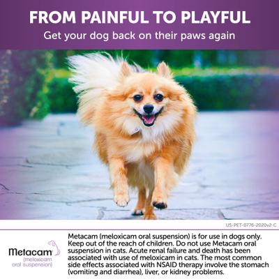 Show full view: Metacam (Meloxicam) Oral Suspension for Dogs, 1.5 mg/mL, 10-mL slide 5 of 12