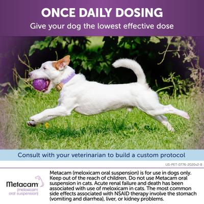 Show full view: Metacam (Meloxicam) Oral Suspension for Dogs, 1.5 mg/mL, 180-mL slide 4 of 12