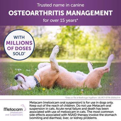 Show full view: Metacam (Meloxicam) Oral Suspension for Dogs, 1.5 mg/mL, 32-mL slide 7 of 12