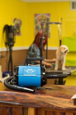 MetroVac Air Force Commander Two-Speed Pet Dryer (Free Shipping