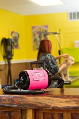 Show full view: MetroVac Air Force Commander Two-Speed Pet Dryer, Pink slide 2 of 6