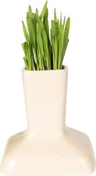 Miaustore Cat Grass Cup, Milk