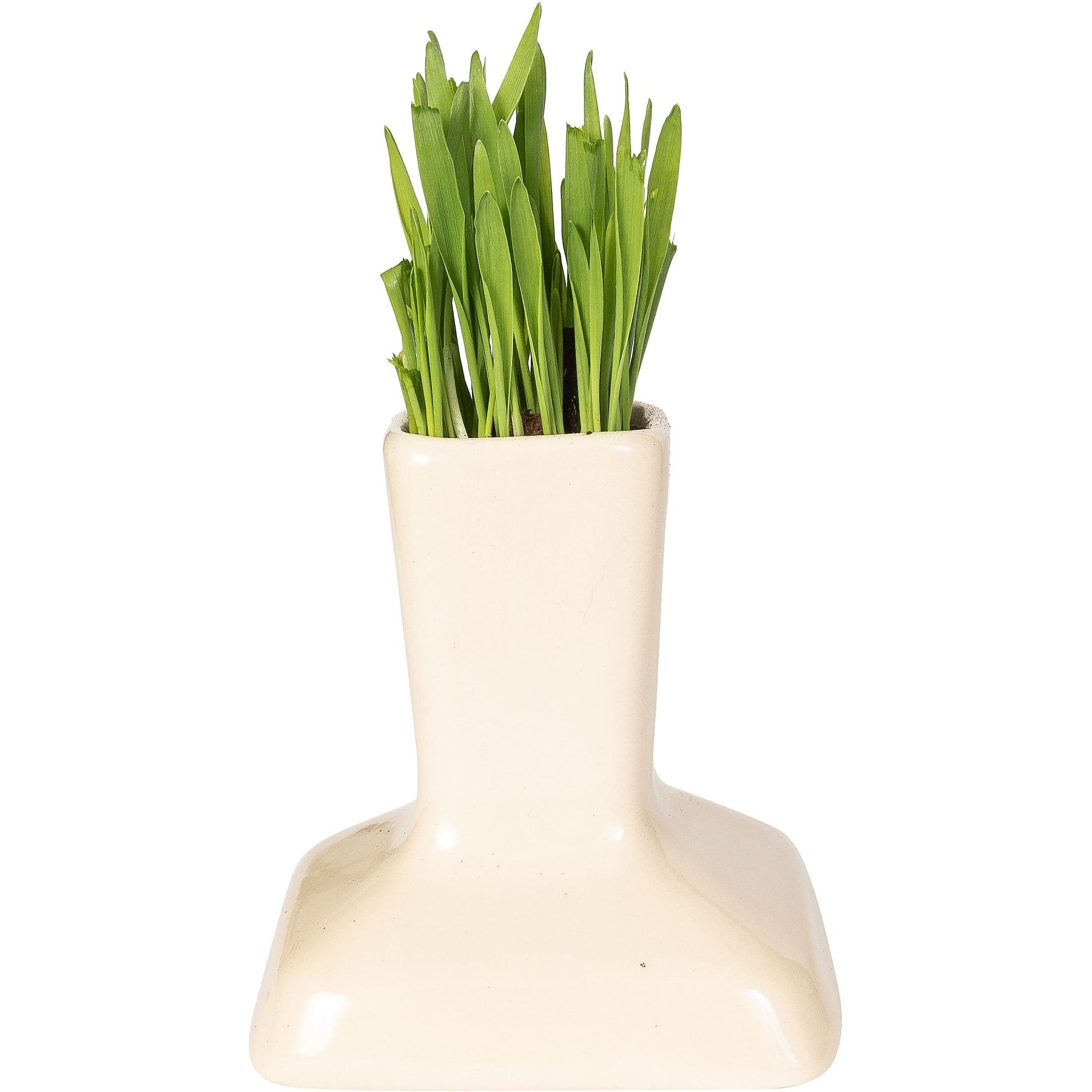Miaustore Cat Grass Cup, Milk