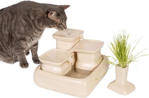 Show full view: Miaustore Cat Grass Cup, Milk slide 3 of 9