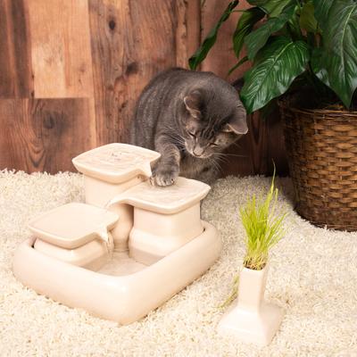 Show full view: Miaustore Cat Grass Cup, Milk slide 4 of 9