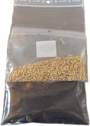 Miaustore Cat Grass Growing Kit