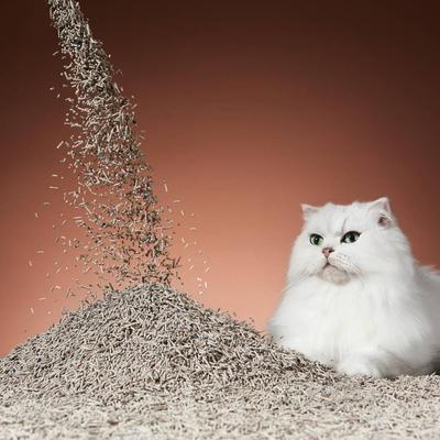 Show full view: Michu Coffee Scented Clumping Tofu Cat Litter, 5.5-lb bag slide 4 of 12