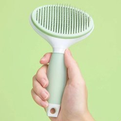 Michu Cream Dog, Cat & Small Pet Brush, Green
