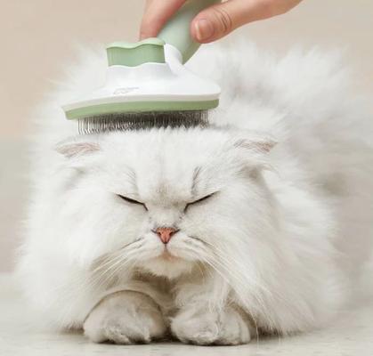 Show full view: Michu Cream Dog, Cat & Small Pet Brush, Green slide 8 of 11