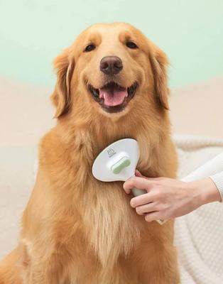 Show full view: Michu Cream Dog, Cat & Small Pet Brush, Green slide 9 of 11