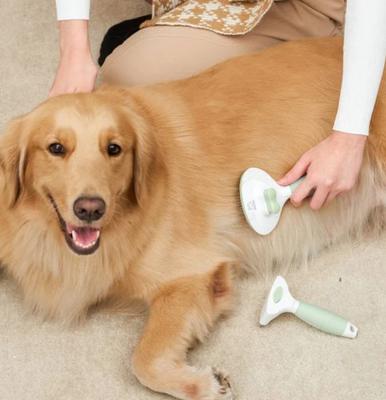 Show full view: Michu Cream Dog, Cat & Small Pet Brush, Green slide 10 of 11