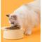 Show in main carousel: Michu Dinnerware Ceramic Cat Hat Bowl, Large, Cream slide 2 of 4