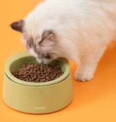 Michu Dinnerware Ceramic Cat Hat Bowl, Large, Green slide 2 of 2