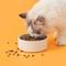 Show in main carousel: Michu Dinnerware Ceramic Cat Water Bowl, Large, Cream slide 2 of 4