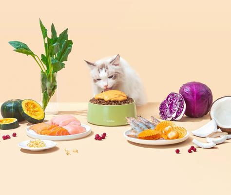 Show full view: Michu Rainbow Mousse Chicken with Pumpkin & Scallop Flavor Pate Wet Cat Food, 1.76-oz pouch, case of 10 slide 8 of 9