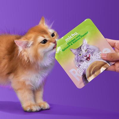 Show full view: Michu Rainbow Mousse Chicken with Spinach & Salmon Flavor Pate Wet Cat Food, 1.76-oz pouch, case of 10 slide 5 of 8
