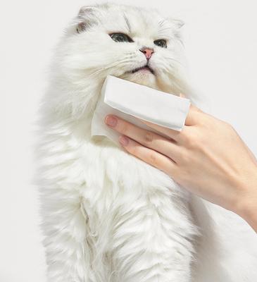 Show full view: Michu Soft Skin-Friendly Unscented Cotton Bubble Cat Grooming Wipes, 80 count slide 10 of 10