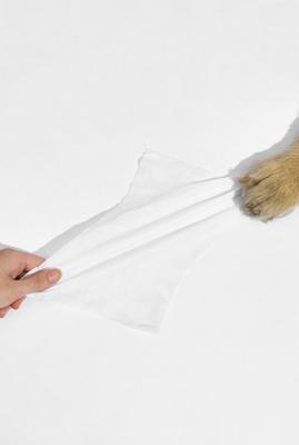 Show full view: Michu Soft Skin-Friendly Unscented Cotton Bubble Cat Grooming Wipes, 80 count slide 7 of 10